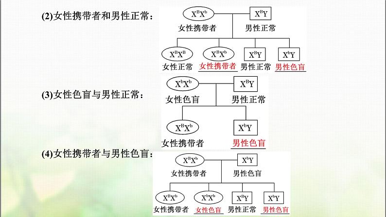 人教版高中生物必修2第2章基因和染色体的关系第3节伴性遗传课件第4页