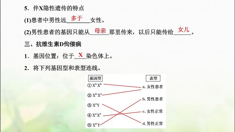 人教版高中生物必修2第2章基因和染色体的关系第3节伴性遗传课件第5页