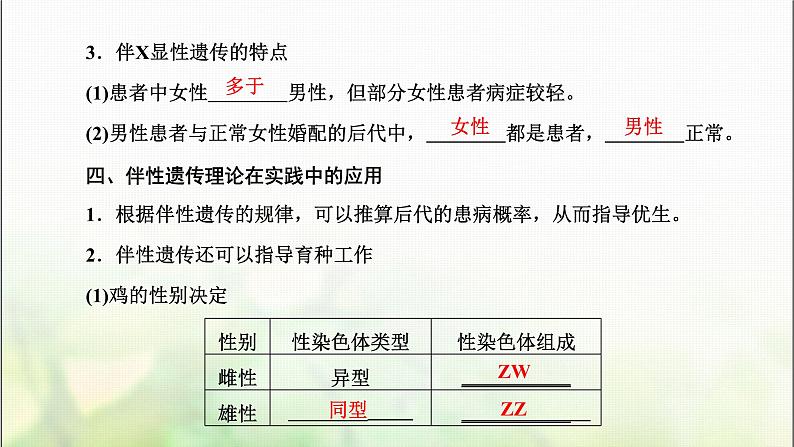 人教版高中生物必修2第2章基因和染色体的关系第3节伴性遗传课件第6页