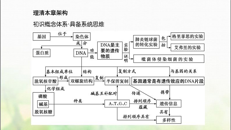 人教版高中生物必修2第3章基因的本质第1节DNA是主要的遗传物质课件第3页