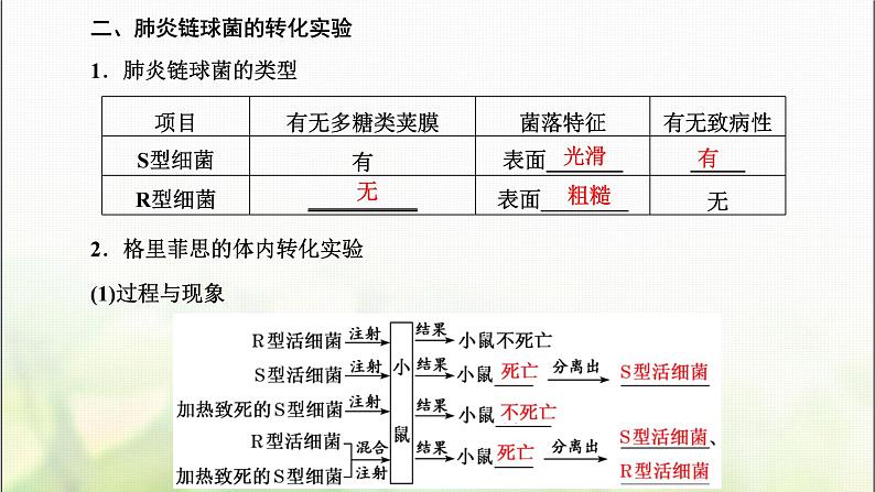 人教版高中生物必修2第3章基因的本质第1节DNA是主要的遗传物质课件第6页