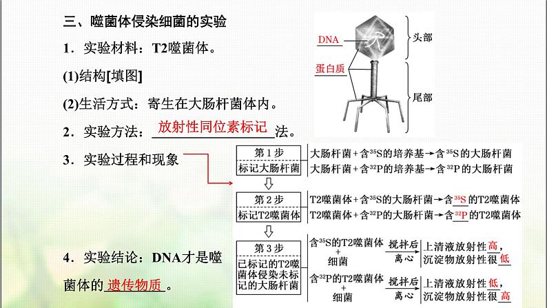 人教版高中生物必修2第3章基因的本质第1节DNA是主要的遗传物质课件第8页