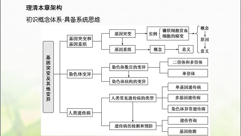 人教版高中生物必修2第5章基因突变及其他变异第1节基因突变和基因重组课件第3页