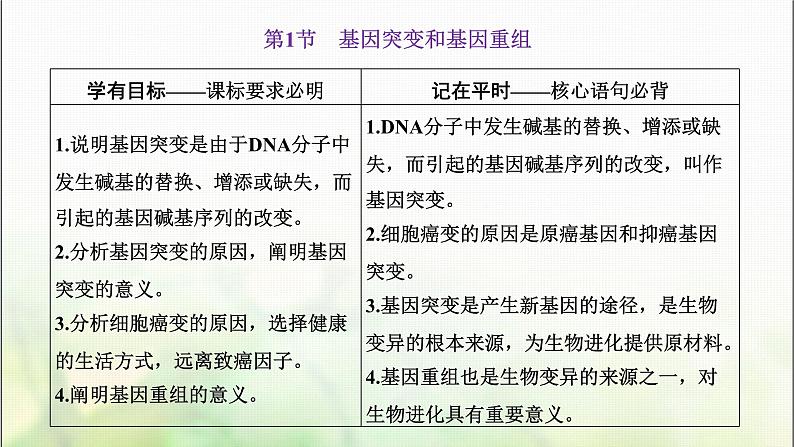 人教版高中生物必修2第5章基因突变及其他变异第1节基因突变和基因重组课件第4页