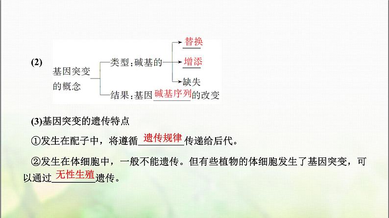 人教版高中生物必修2第5章基因突变及其他变异第1节基因突变和基因重组课件第6页