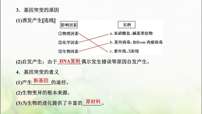 人教版高中生物必修2第5章基因突变及其他变异第1节基因突变和基因重组课件第8页