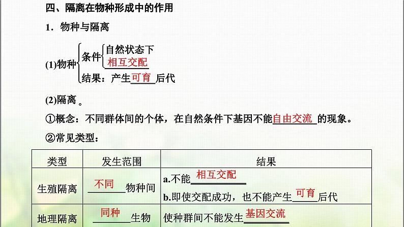 人教版高中生物必修2第6章生物的进化第3节种群基因组成的变化与物种的形成课件第6页