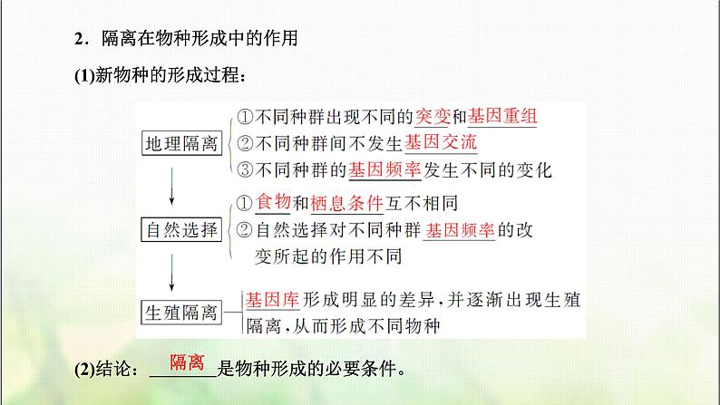 人教版高中生物必修2第6章生物的进化第3节种群基因组成的变化与物种的形成课件第7页