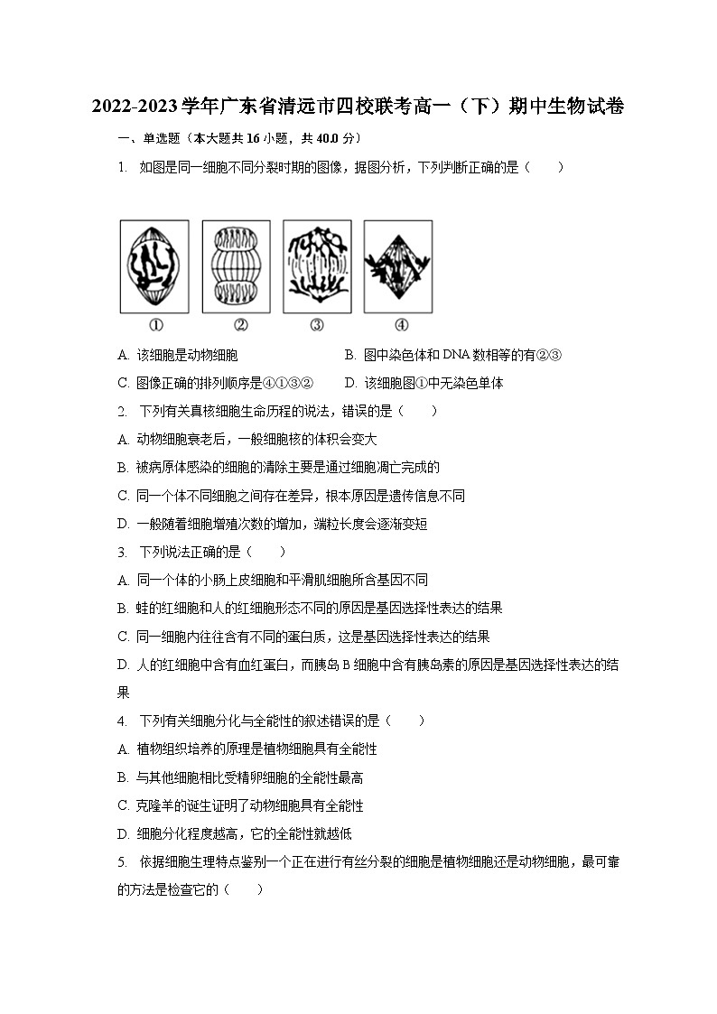 2022-2023学年广东省清远市四校联考高一（下）期中生物试卷（含解析）01