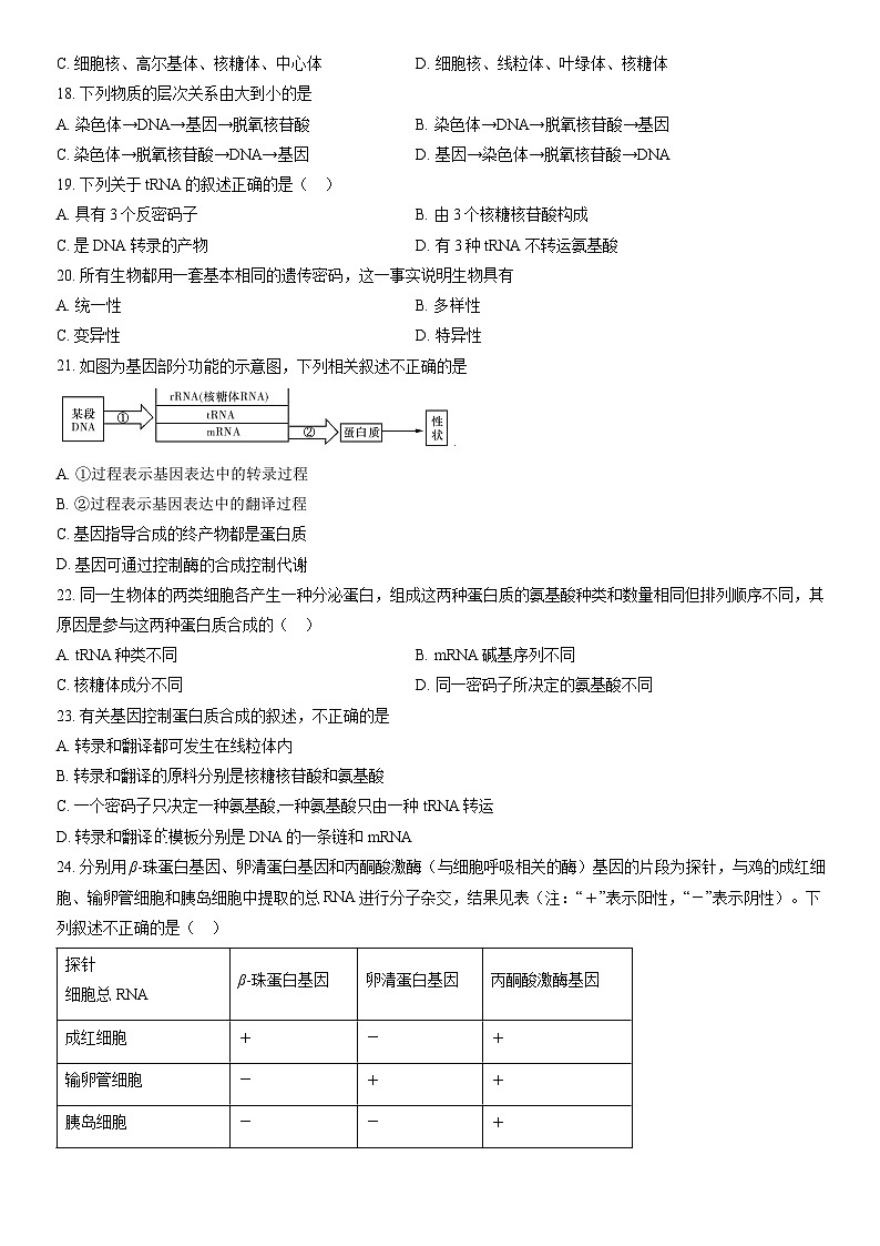 2022北京民大附中高一（下）期中生物（教师版）第3页