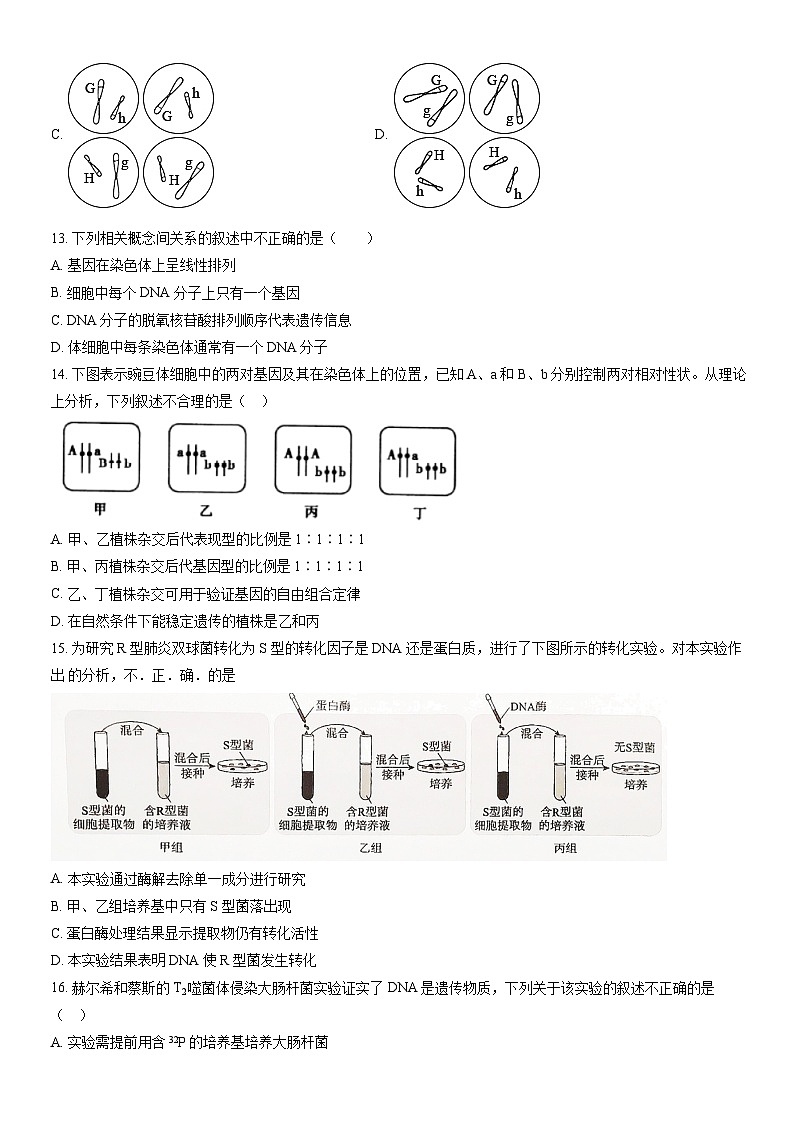 2021北京101中学高一（下）期中生物（等级班）（教师版）第3页