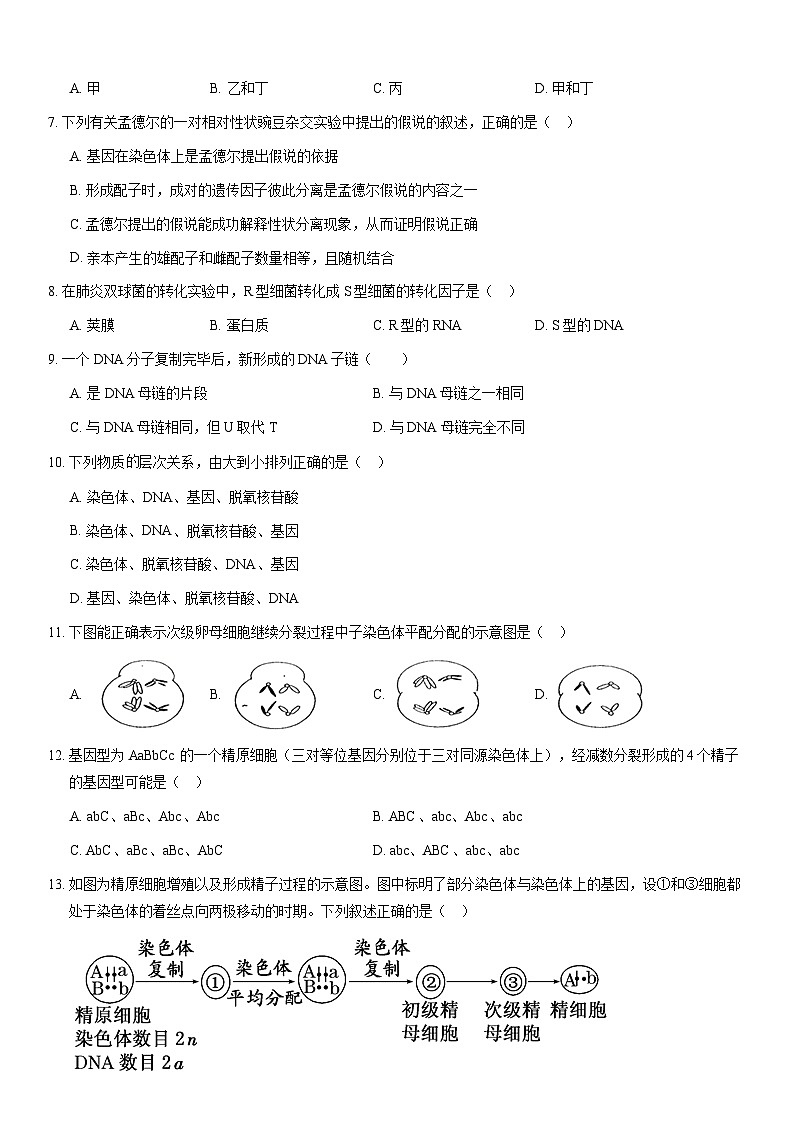 2021北京四中高一（下）期中生物（教师版）第2页