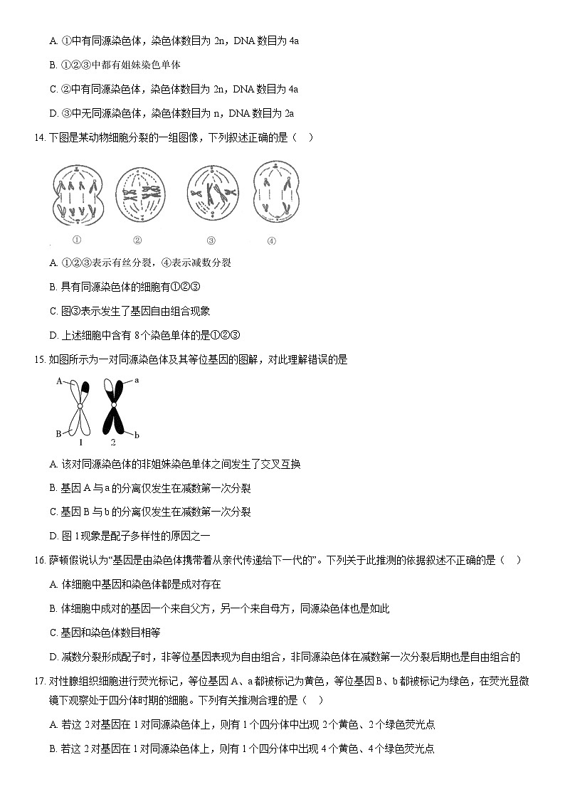 2021北京四中高一（下）期中生物（教师版）第3页