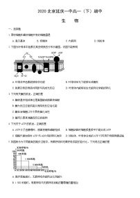 2020北京延庆一中高一（下）期中生物（教师版）