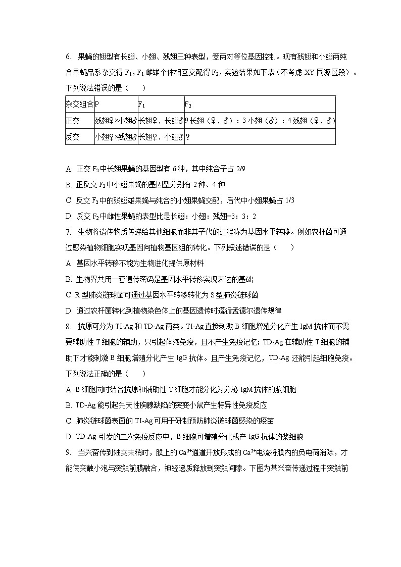 2022-2023学年山东省烟台市高三（第1次）诊断测试生物试卷（含解析）03