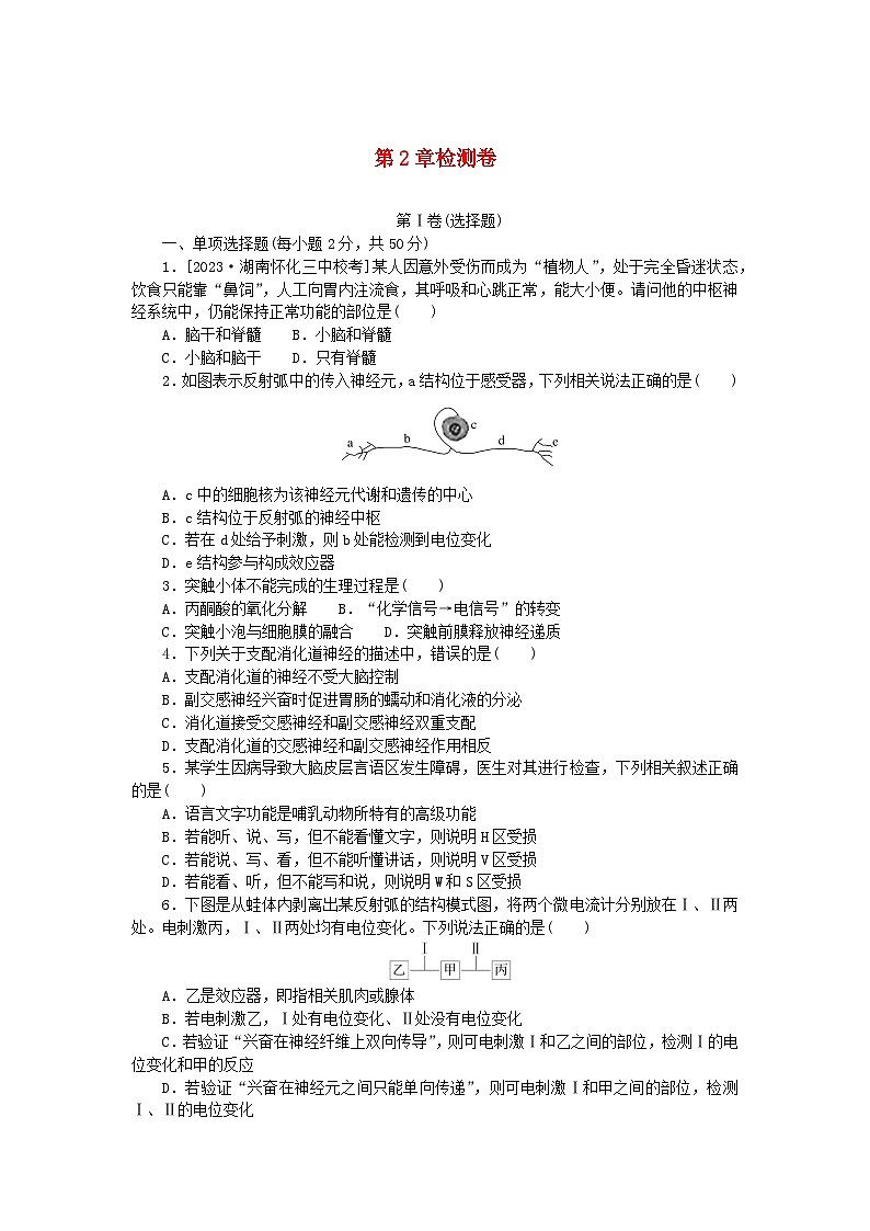 2023版新教材高中生物第2章神经调节检测卷新人教版选择性必修1第1页