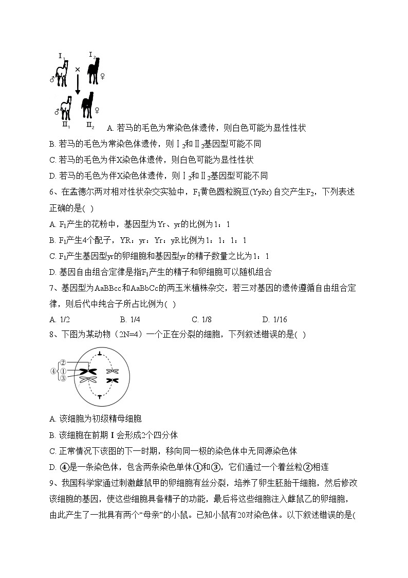 大荔县大荔中学2021-2022学年高一下学期期末质量检测生物试卷(含答案)第2页