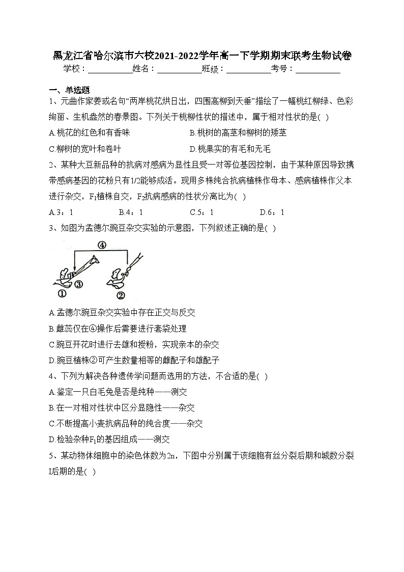 黑龙江省哈尔滨市六校2021-2022学年高一下学期期末联考生物试卷(含答案)01