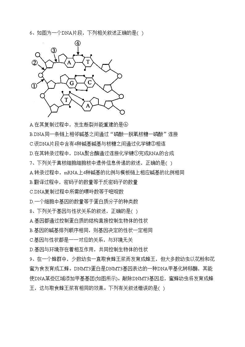 元氏县第四中学2021-2022学年高一下学期期末考试生物试卷(含答案)02