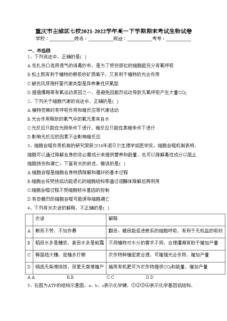 重庆市主城区七校2021-2022学年高一下学期期末考试生物试卷(含答案)01