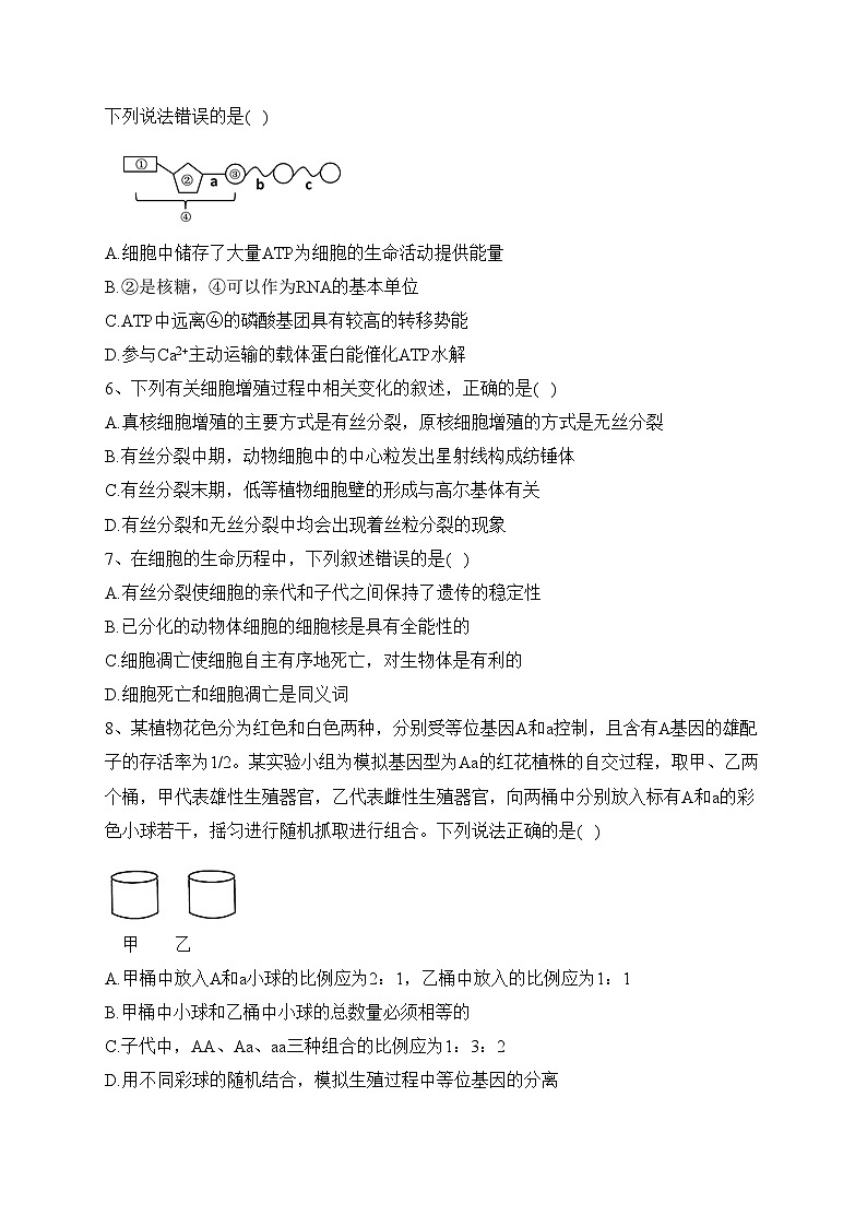 重庆市主城区七校2021-2022学年高一下学期期末考试生物试卷(含答案)02