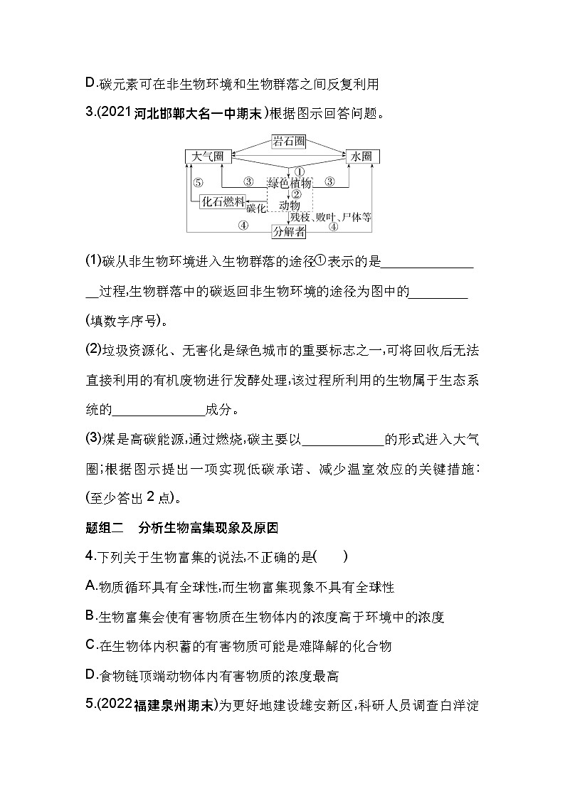 2023版高中同步新教材选择性必修2人教生物 第3章 生态系统及其稳定性 第3节 生态系统的物质循环第2页