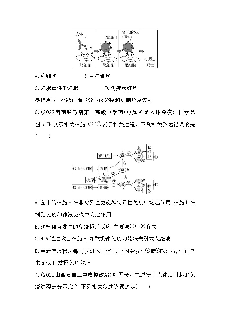 2023高中生物选择性必修1人教版新教材 第4章 免疫调节 本章复习提升第3页