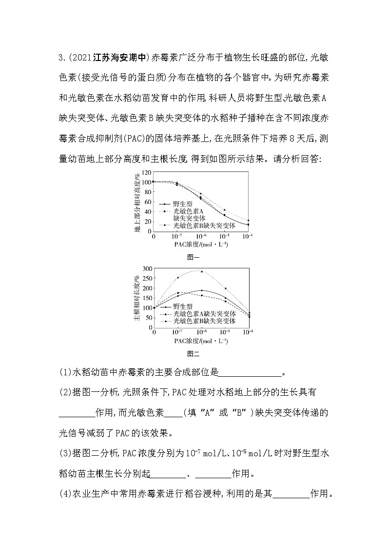 2023高中生物选择性必修1人教版新教材 第5章 植物生命活动的调节 第4节 环境因素参与调节植物的生命活动 试卷02