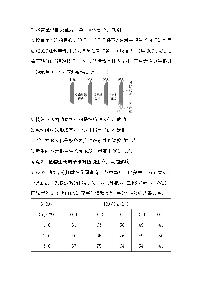 2023高中生物选择性必修1人教版新教材 第5章 植物生命活动的调节 综合拔高练第3页
