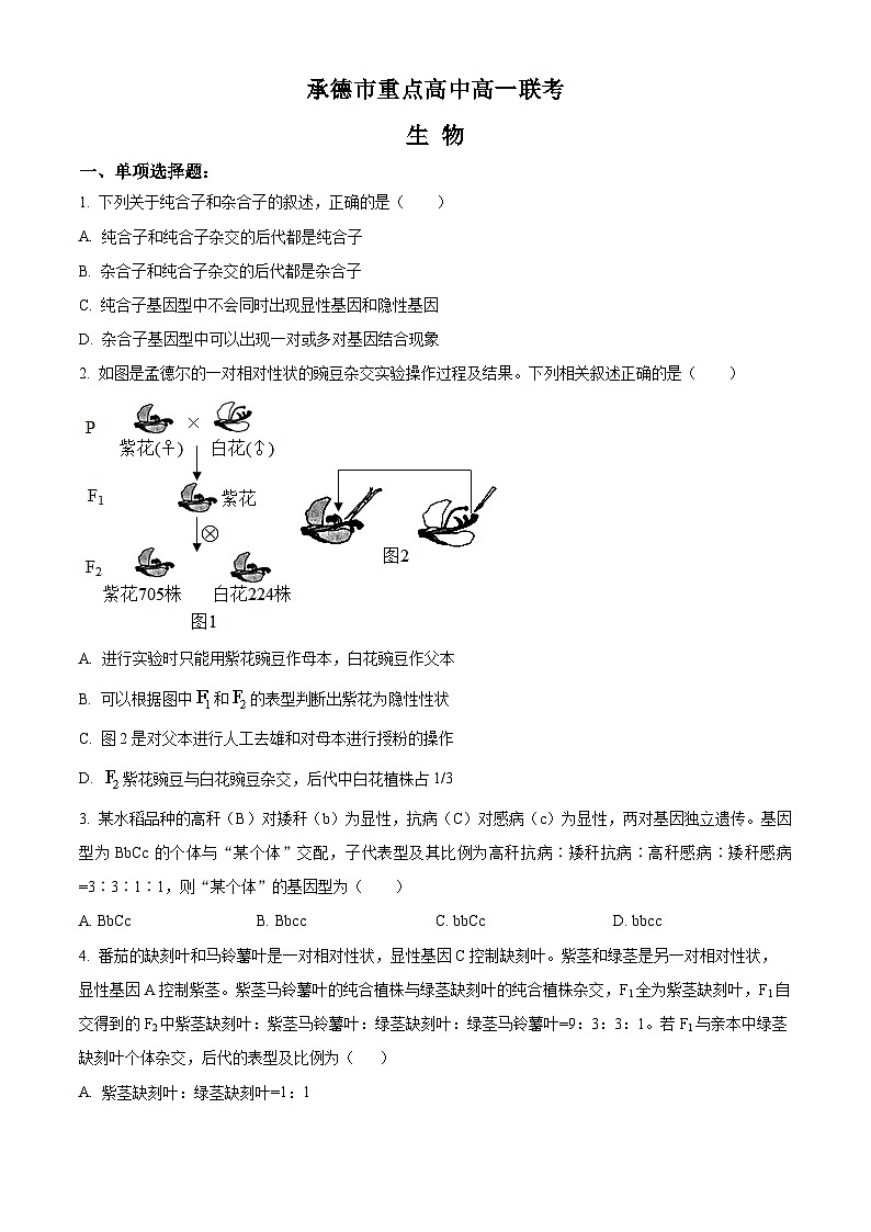 河北省承德市重点高中2022-2023学年高一生物下学期期中联考试题（Word版附答案）第1页