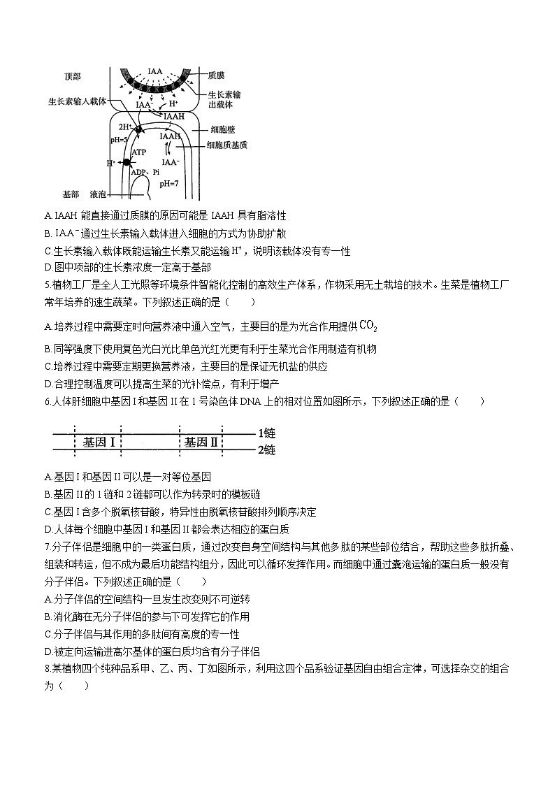 湖北省高中名校联盟2022-2023学年高一生物下学期5月联合测评试题（Word版附解析）第2页