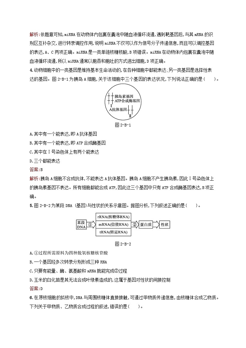 新教材适用2023年高中生物第2章遗传信息的复制与表达测评B北师大版必修2第2页