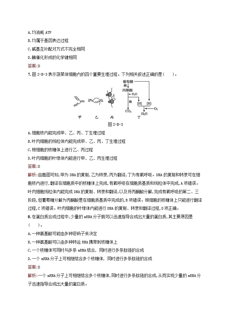 新教材适用2023年高中生物第2章遗传信息的复制与表达测评B北师大版必修2第3页