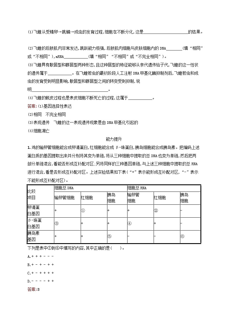 新教材适用2023年高中生物第2章遗传信息的复制与表达第3节基因的选择性表达及表观遗传现象课后习题北师大版必修203
