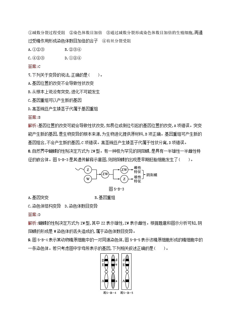 新教材适用2023年高中生物第5章遗传信息的改变测评B北师大版必修2第3页