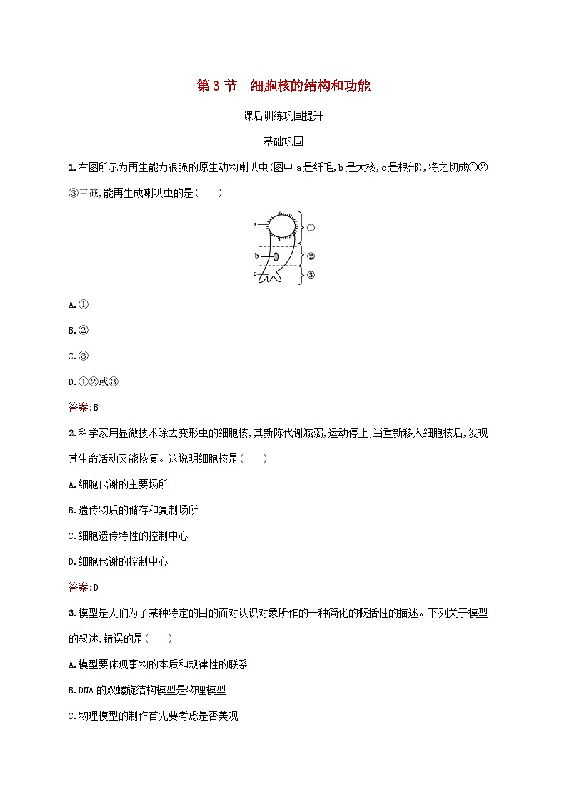 新教材适用2023年高中生物第3章细胞的基本结构第3节细胞核的结构和功能课后习题新人教版必修101