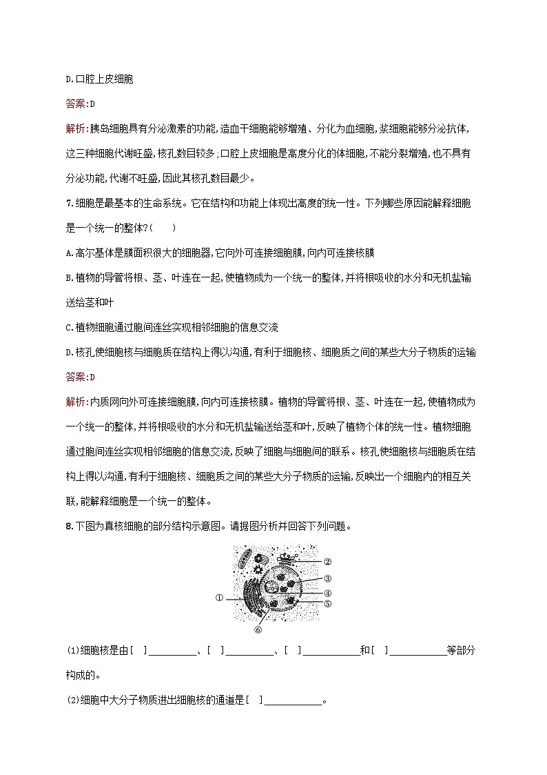 新教材适用2023年高中生物第3章细胞的基本结构第3节细胞核的结构和功能课后习题新人教版必修103