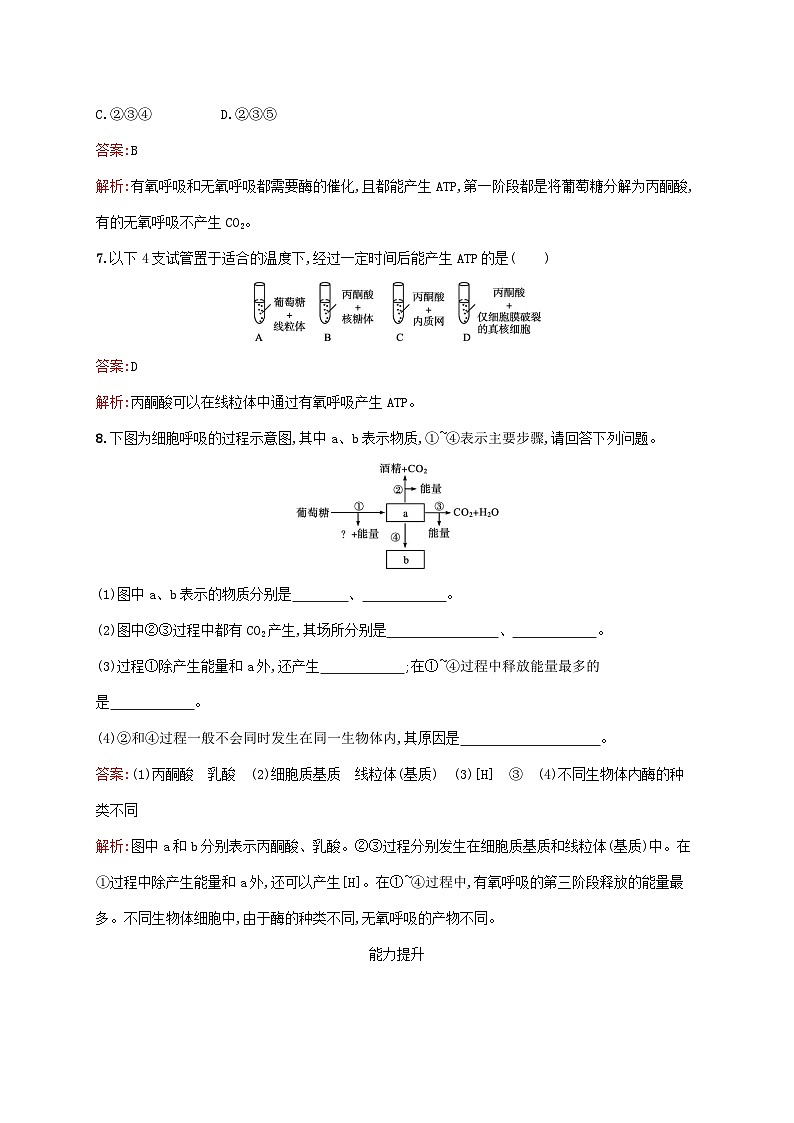 新教材适用2023年高中生物第5章细胞的能量供应和利用第3节细胞呼吸的原理和应用第2课时无氧呼吸细胞呼吸原理的应用课后习题新人教版必修1第3页