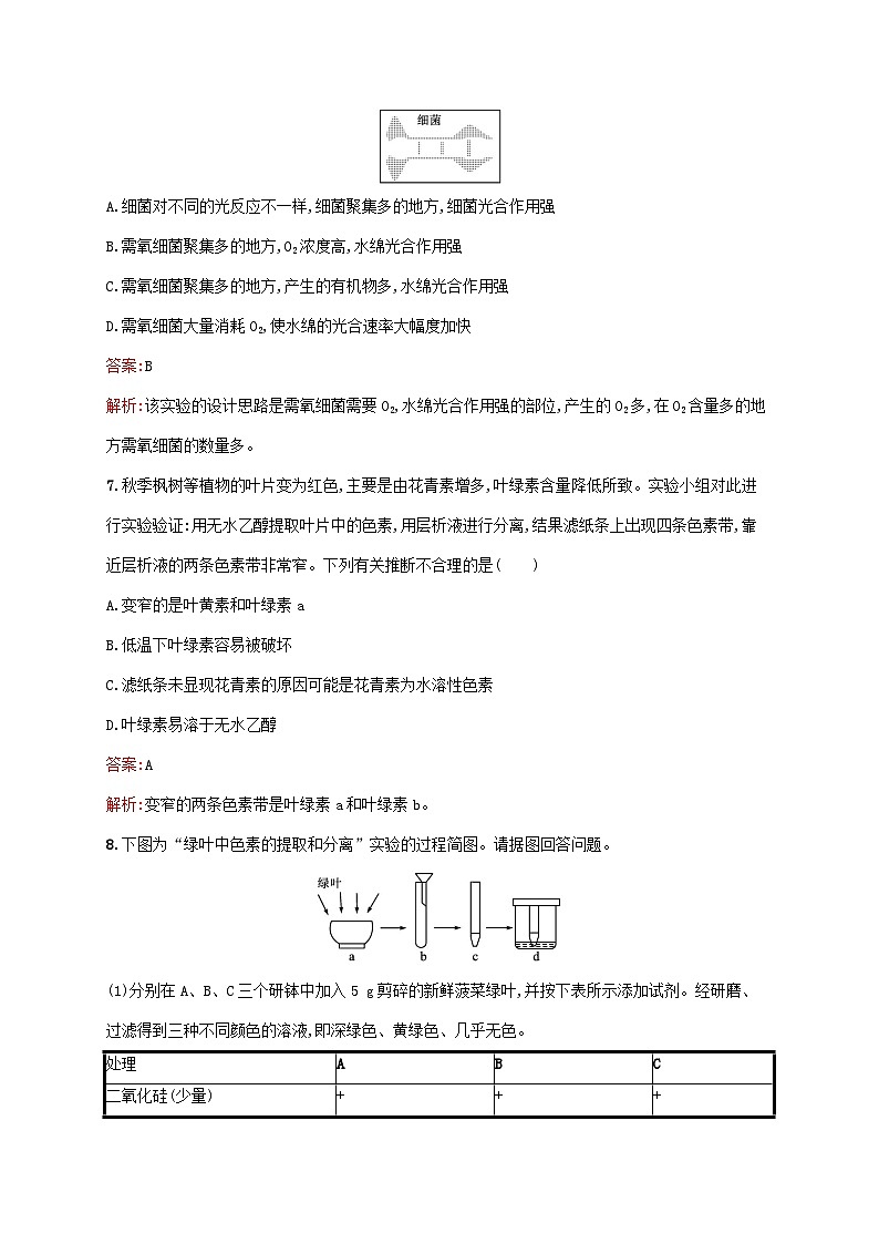 新教材适用2023年高中生物第5章细胞的能量供应和利用第4节光合作用与能量转化第1课时捕获光能的色素和结构课后习题新人教版必修103