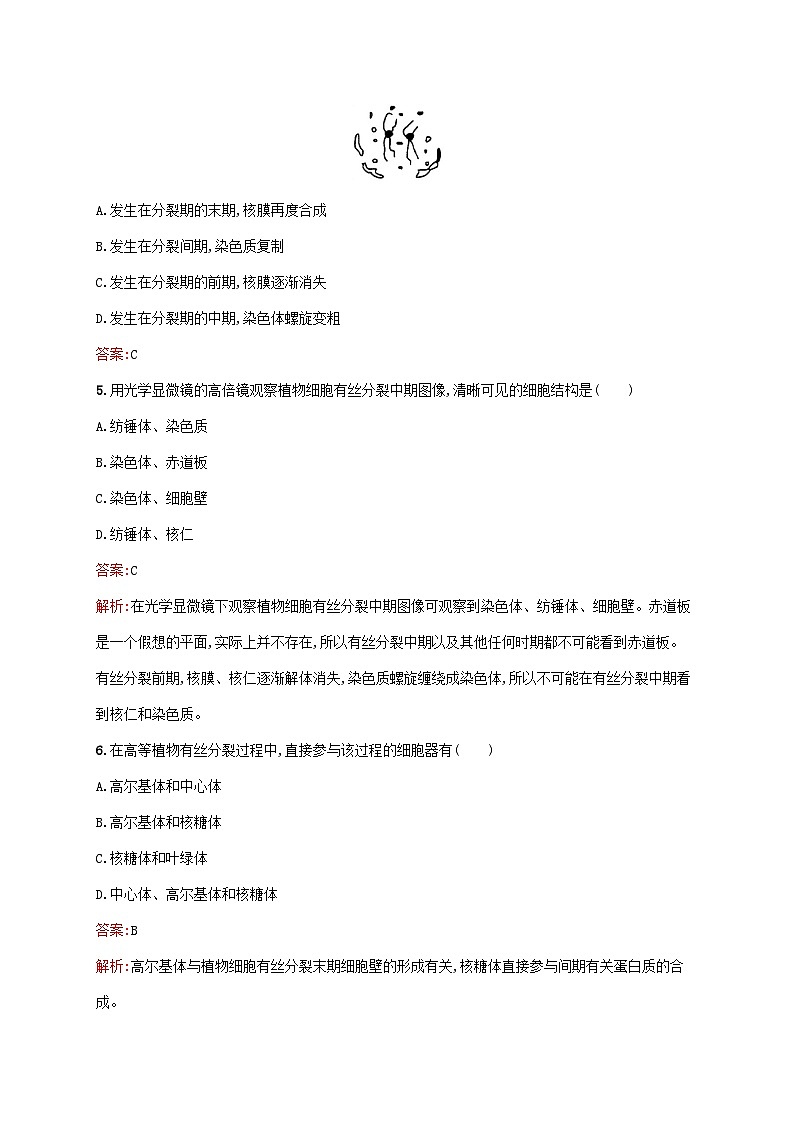 新教材适用2023年高中生物第6章细胞的生命历程第1节细胞的增殖第1课时植物细胞的增殖课后习题新人教版必修102