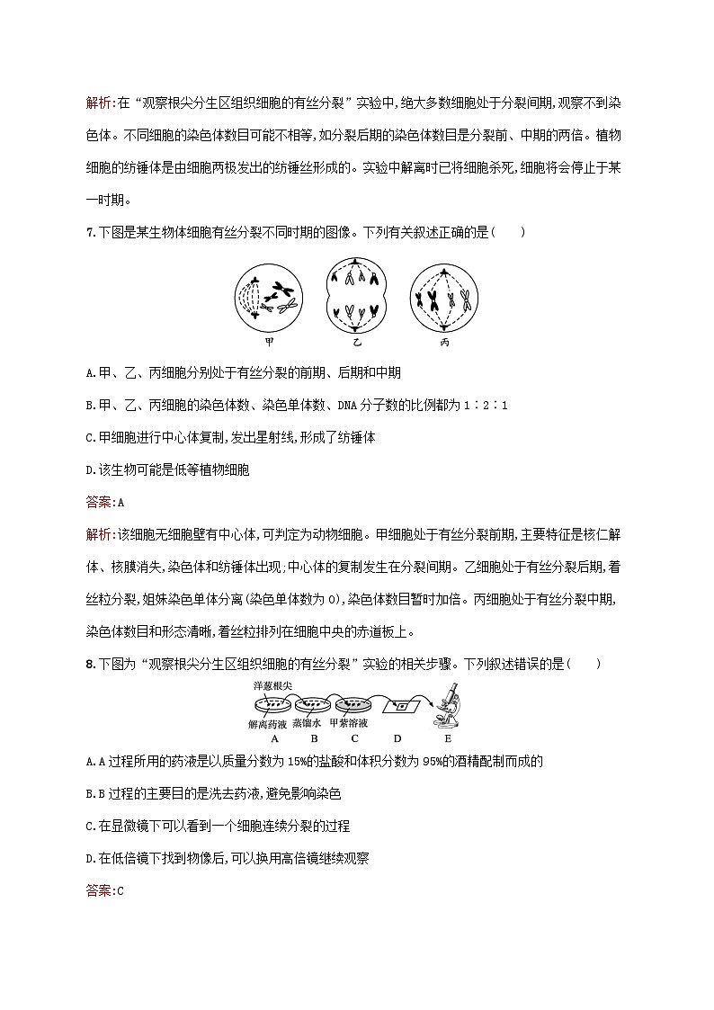 新教材适用2023年高中生物第6章细胞的生命历程第1节细胞的增殖第2课时动物细胞的增殖及观察根尖分生区组织细胞的有丝分裂课后习题新人教版必修103