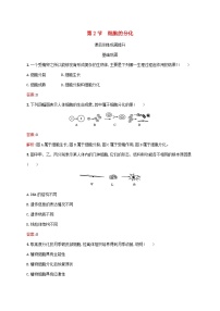 人教版 (2019)必修1《分子与细胞》第2节 细胞的分化同步练习题