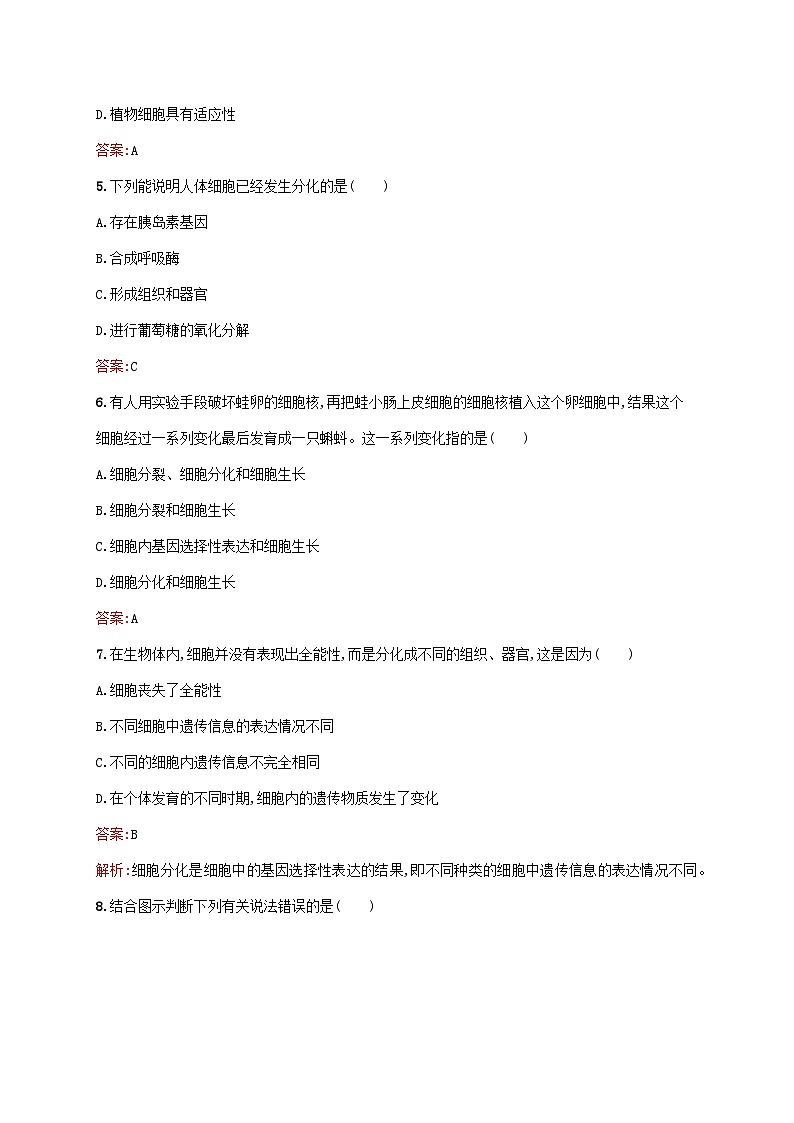 新教材适用2023年高中生物第6章细胞的生命历程第2节细胞的分化课后习题新人教版必修102