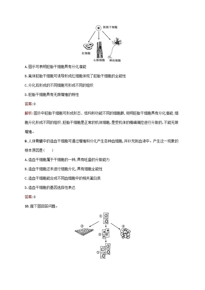 新教材适用2023年高中生物第6章细胞的生命历程第2节细胞的分化课后习题新人教版必修103