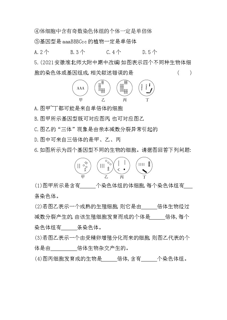 2023人教版高中生物必修2 遗传与进化 第5章   基因突变及其他变异 第2节 染色体变异第2页