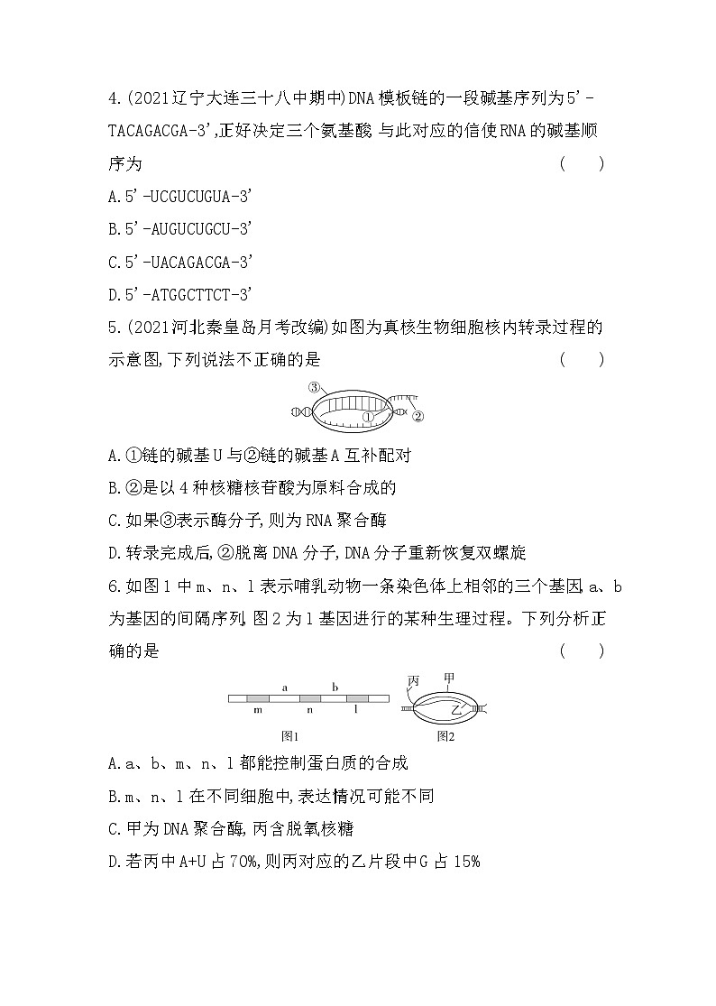 2023人教版高中生物必修2 遗传与进化 第4章   基因的表达 第1节 基因指导蛋白质的合成第2页