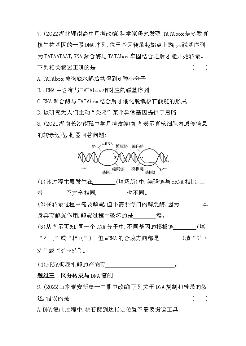 2023人教版高中生物必修2 遗传与进化 第4章   基因的表达 第1节 基因指导蛋白质的合成第3页