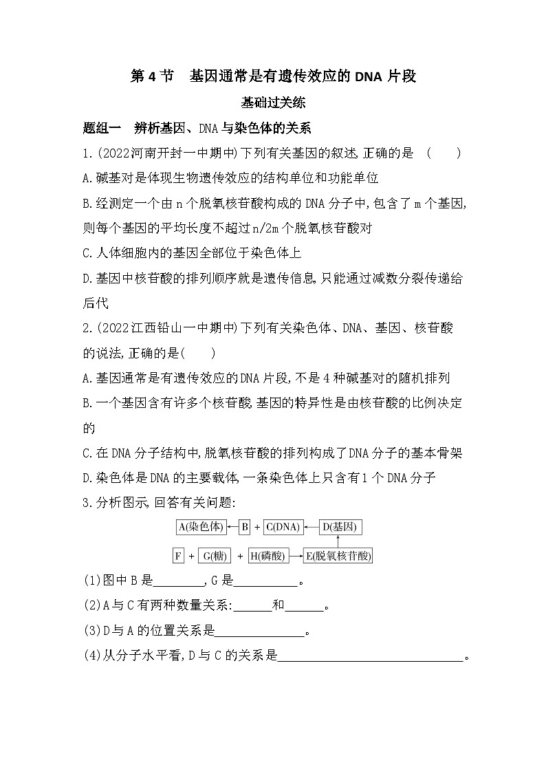 2023人教版高中生物必修2 遗传与进化 第3章   基因的本质 第4节 基因通常是有遗传效应的DNA片段第1页