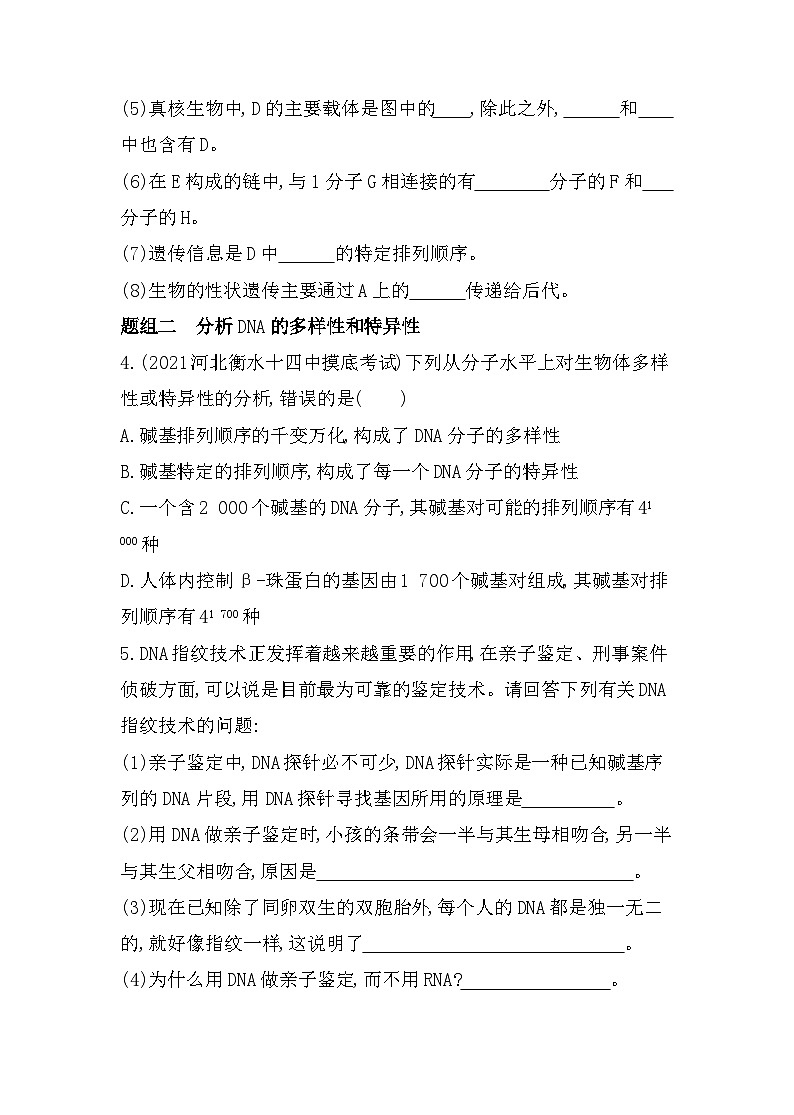 2023人教版高中生物必修2 遗传与进化 第3章   基因的本质 第4节 基因通常是有遗传效应的DNA片段第2页