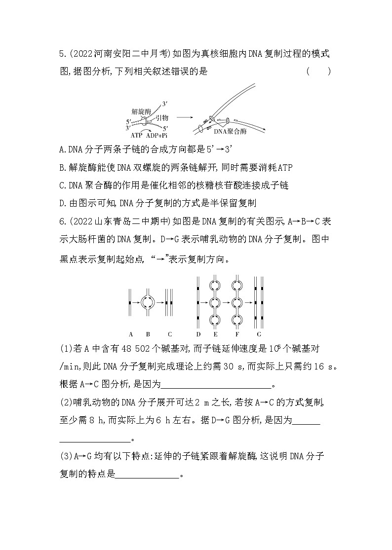 2023人教版高中生物必修2 遗传与进化 第3章   基因的本质 第3节 DNA的复制 试卷03